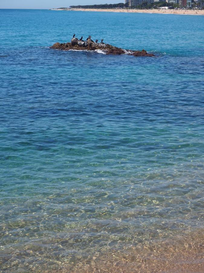 Apartamento Mar I Cel Blanes Extérieur photo